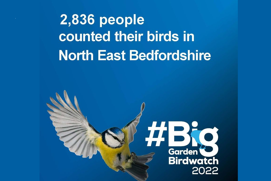 RSPB's Big Garden Bird Watch Results for North East Bedfordshire
