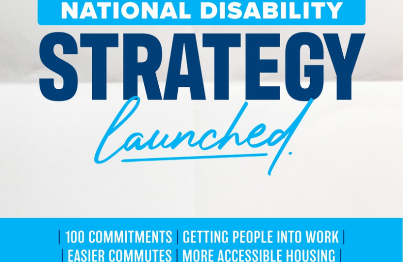 national disability strategy