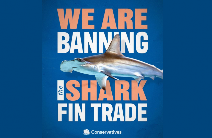 shark fin ban