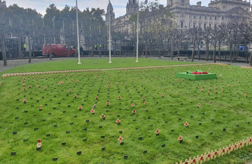 Constituency Garden of Remembrance 