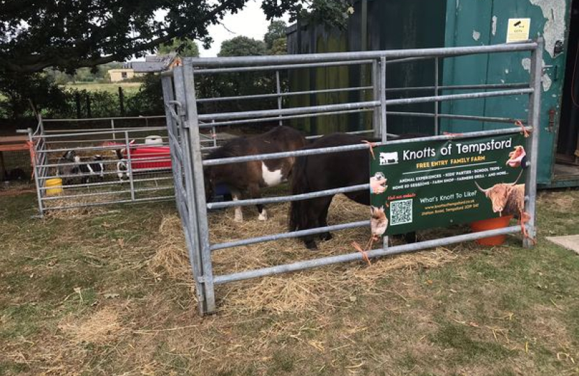 Tempsford Village Show