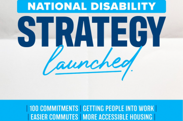 national disability strategy