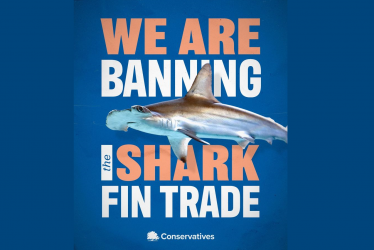 shark fin ban