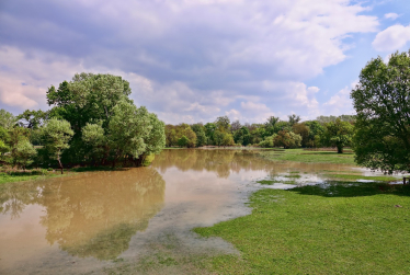 image of flooded field